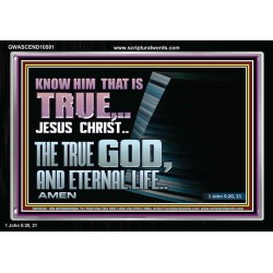 JESUS CHRIST THE TRUE GOD AND ETERNAL LIFE  Christian Wall Art  GWASCEND10581  "33X25"
