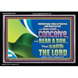 BEHOLD NOW THOU SHALL CONCEIVE  Custom Christian Artwork Acrylic Frame  GWASCEND10610  "33X25"