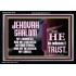 JEHOVAH SHALOM OUR GOODNESS FORTRESS HIGH TOWER DELIVERER AND SHIELD  Encouraging Bible Verse Acrylic Frame  GWASCEND10749  "33X25"