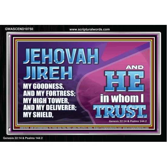 JEHOVAH JIREH OUR GOODNESS FORTRESS HIGH TOWER DELIVERER AND SHIELD  Encouraging Bible Verses Acrylic Frame  GWASCEND10750  