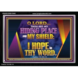 THOU ART MY HIDING PLACE AND SHIELD  Bible Verses Wall Art Acrylic Frame  GWASCEND12045  