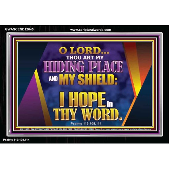 THOU ART MY HIDING PLACE AND SHIELD  Bible Verses Wall Art Acrylic Frame  GWASCEND12045  