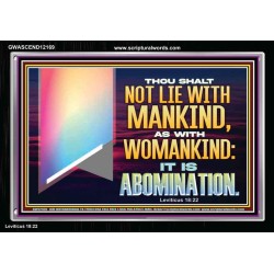 THOU SHALT NOT LIE WITH MANKIND AS WITH WOMANKIND IT IS ABOMINATION  Bible Verse for Home Acrylic Frame  GWASCEND12169  "33X25"
