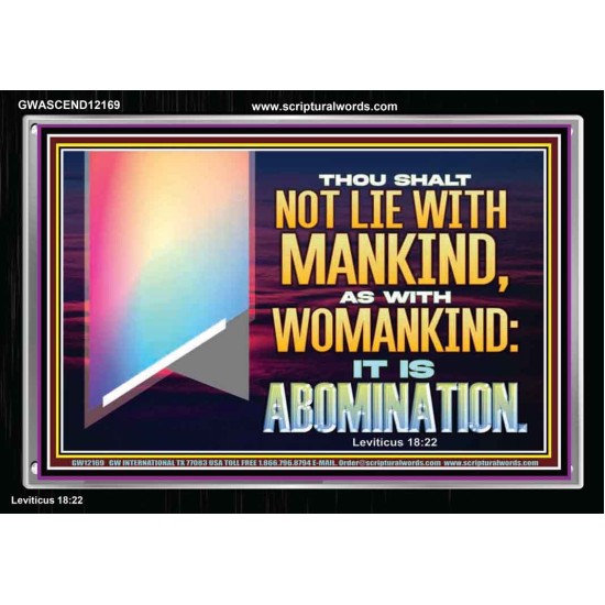 THOU SHALT NOT LIE WITH MANKIND AS WITH WOMANKIND IT IS ABOMINATION  Bible Verse for Home Acrylic Frame  GWASCEND12169  