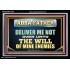ABBA FATHER DELIVER ME NOT OVER UNTO THE WILL OF MINE ENEMIES  Unique Power Bible Picture  GWASCEND12220  "33X25"