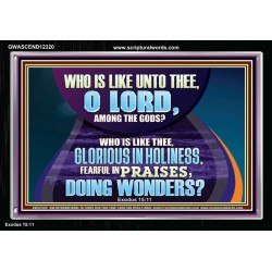 FEARFUL IN PRAISES DOING WONDERS  Ultimate Inspirational Wall Art Acrylic Frame  GWASCEND12320  "33X25"