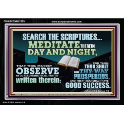 SEARCH THE SCRIPTURES MEDITATE THEREIN DAY AND NIGHT  Unique Power Bible Acrylic Frame  GWASCEND12379  "33X25"