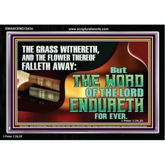 THE WORD OF THE LORD ENDURETH FOR EVER  Sanctuary Wall Acrylic Frame  GWASCEND12434  