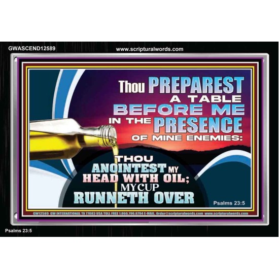 THOU ANOINTEST MY HEAD WITH OIL  Ultimate Power Acrylic Frame  GWASCEND12589  