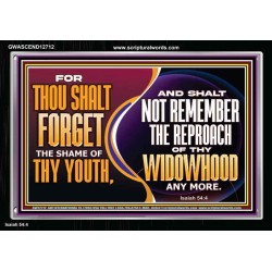 THOU SHALT FORGET THE SHAME OF THY YOUTH  Encouraging Bible Verse Acrylic Frame  GWASCEND12712  "33X25"