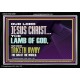 THE LAMB OF GOD WHICH TAKETH AWAY THE SIN OF THE WORLD  Children Room Wall Acrylic Frame  GWASCEND12991  
