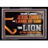 THE LION OF THE TRIBE OF JUDA CHRIST JESUS  Ultimate Inspirational Wall Art Acrylic Frame  GWASCEND12993  "33X25"