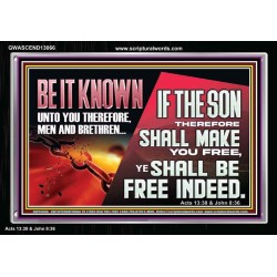 IF THE SON THEREFORE SHALL MAKE YOU FREE  Ultimate Inspirational Wall Art Acrylic Frame  GWASCEND13066  "33X25"