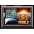 OUR LORD JESUS CHRIST THE LIGHT OF THE WORLD  Christian Wall Décor Acrylic Frame  GWASCEND13122B  "33X25"