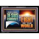 OUR LORD JESUS CHRIST THE LIGHT OF THE WORLD  Christian Wall Décor Acrylic Frame  GWASCEND13122B  