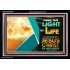 THE LIGHT OF LIFE OUR LORD JESUS CHRIST  Righteous Living Christian Acrylic Frame  GWASCEND9552  "33X25"