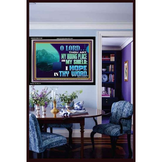 THOU ART MY HIDING PLACE AND SHIELD  Large Custom Acrylic Frame   GWASCEND12159  