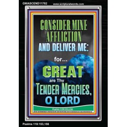 CONSIDER MINE AFFLICTION O LORD MY GOD  Christian Quote Portrait  GWASCEND11782  "25x33"