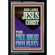 OUR LORD JESUS CHRIST THE TRUE BREAD FROM HEAVEN  Church Portrait  GWASCEND11950  