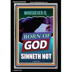GOD'S CHILDREN DO NOT CONTINUE TO SIN  Righteous Living Christian Portrait  GWASCEND9390  "25x33"