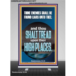 THINE ENEMIES SHALL BE FOUND LIARS UNTO THEE  Printable Bible Verses to Retractable Stand  GWBREAKTHROUGH11877  "30x80"