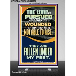 MY ENEMIES ARE FALLEN UNDER MY FEET  Bible Verse for Home Retractable Stand  GWBREAKTHROUGH12350  "30x80"