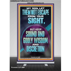 KEEP SOUND AND GODLY WISDOM AND DISCRETION  Bible Verse for Home Retractable Stand  GWBREAKTHROUGH12390  "30x80"