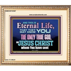 CHRIST JESUS THE ONLY WAY TO ETERNAL LIFE  Sanctuary Wall Portrait  GWCOV10397  "23x18"