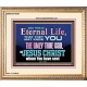 CHRIST JESUS THE ONLY WAY TO ETERNAL LIFE  Sanctuary Wall Portrait  GWCOV10397  