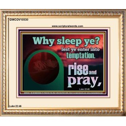 WHY SLEEP YE RISE AND PRAY  Unique Scriptural Portrait  GWCOV10530  "23x18"