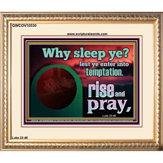 WHY SLEEP YE RISE AND PRAY  Unique Scriptural Portrait  GWCOV10530  