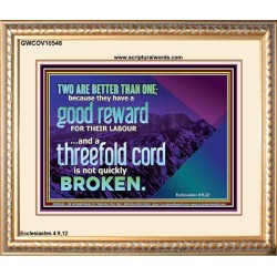 TWO ARE BETTER THAN ONE  Contemporary Christian Wall Art Portrait  GWCOV10548  "23x18"