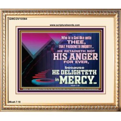 THE LORD DELIGHTETH IN MERCY  Contemporary Christian Wall Art Portrait  GWCOV10564  "23x18"