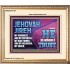JEHOVAH JIREH OUR GOODNESS FORTRESS HIGH TOWER DELIVERER AND SHIELD  Encouraging Bible Verses Portrait  GWCOV10750  "23x18"
