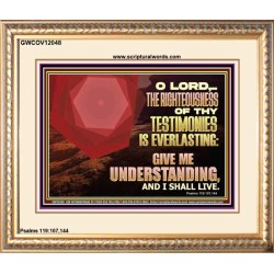 THE RIGHTEOUSNESS OF THY TESTIMONIES IS EVERLASTING O LORD  Religious Wall Art   GWCOV12048  "23x18"