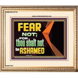 FEAR NOT FOR THOU SHALT NOT BE ASHAMED  Scriptural Portrait Signs  GWCOV12710  "23x18"