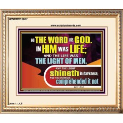 THE LIGHT SHINETH IN DARKNESS YET THE DARKNESS DID NOT OVERCOME IT  Ultimate Power Picture  GWCOV12987  "23x18"