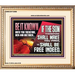 IF THE SON THEREFORE SHALL MAKE YOU FREE  Ultimate Inspirational Wall Art Portrait  GWCOV13066  "23x18"