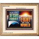 OUR LORD JESUS CHRIST THE LIGHT OF THE WORLD  Christian Wall Décor Portrait  GWCOV13122B  