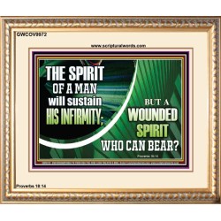 A WOUNDED SPIRIT WHO CAN BEAR?  Sciptural Décor  GWCOV9972  "23x18"