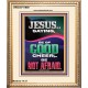 JESUS SAID BE OF GOOD CHEER BE NOT AFRAID  Church Portrait  GWCOV11959  