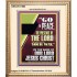 GO IN PEACE THE PRESENCE OF THE LORD BE WITH YOU  Ultimate Power Portrait  GWCOV11965  "18X23"