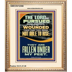 MY ENEMIES ARE FALLEN UNDER MY FEET  Bible Verse for Home Portrait  GWCOV12350  "18X23"