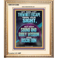KEEP SOUND AND GODLY WISDOM AND DISCRETION  Bible Verse for Home Portrait  GWCOV12390  "18X23"