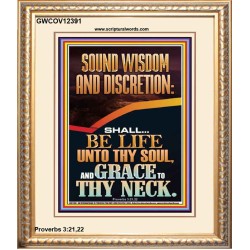 SOUND WISDOM AND DISCRETION SHALL BE LIFE UNTO THY SOUL  Bible Verse for Home Portrait  GWCOV12391  "18X23"