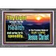 THY HEALTH WILL SPRING FORTH SPEEDILY  Custom Inspiration Scriptural Art Acrylic Frame  GWEXALT10319  
