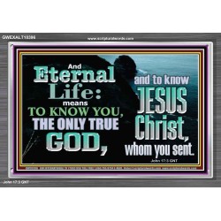 ETERNAL LIFE ONLY THROUGH CHRIST JESUS  Children Room  GWEXALT10396  "33X25"