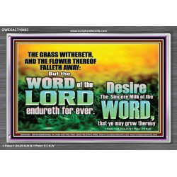 THE WORD OF THE LORD ENDURETH FOR EVER  Christian Wall Décor Acrylic Frame  GWEXALT10493  "33X25"