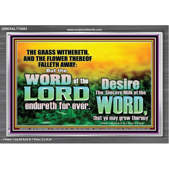 THE WORD OF THE LORD ENDURETH FOR EVER  Christian Wall Décor Acrylic Frame  GWEXALT10493  