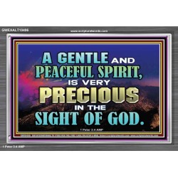 GENTLE AND PEACEFUL SPIRIT VERY PRECIOUS IN GOD SIGHT  Bible Verses to Encourage  Acrylic Frame  GWEXALT10496  "33X25"